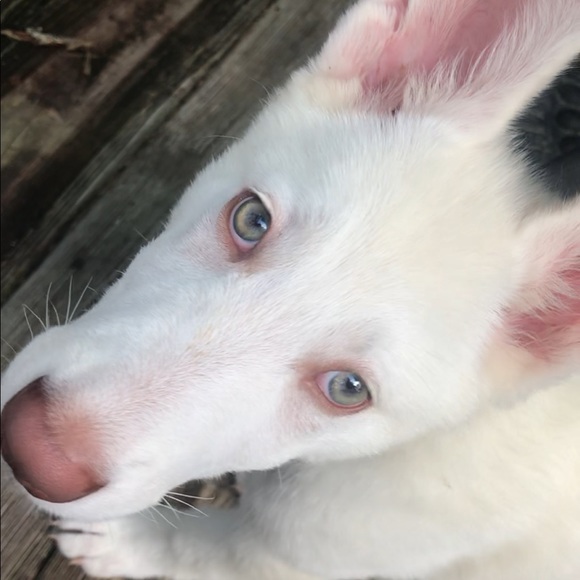 Meet your Posher, Jenna - Picture 4 of 6